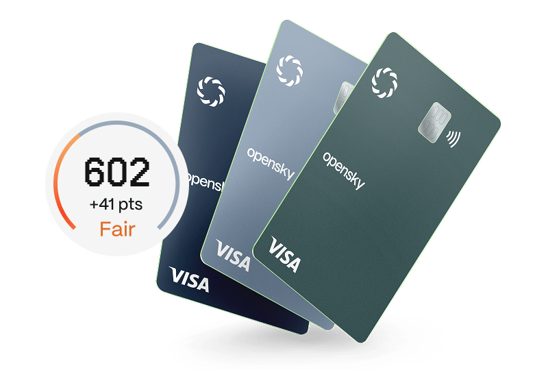 Visa OpenSky